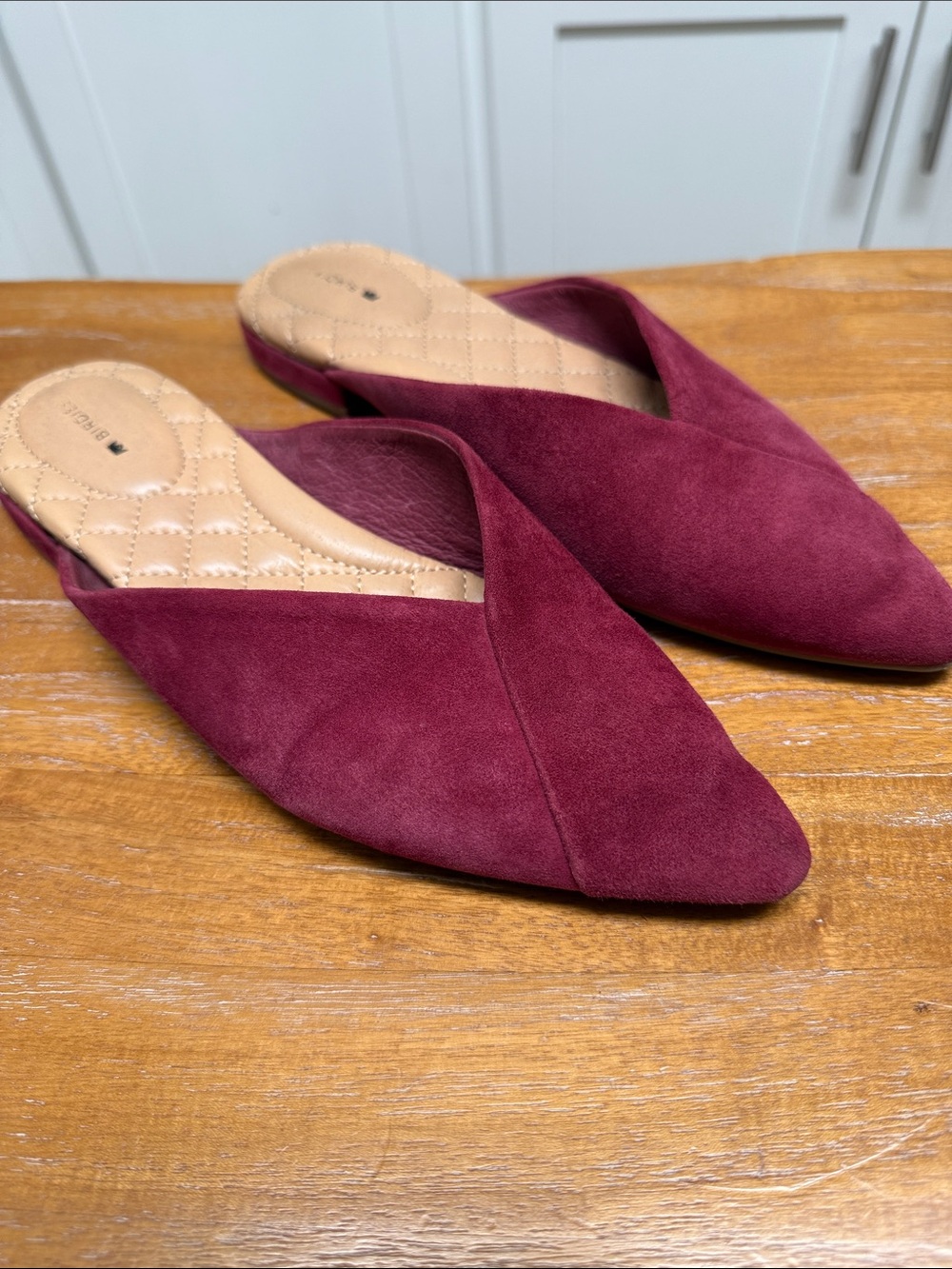 Birdies “The Swan” in Rhubarb Suede Pointed-Toe Slip-On Mule